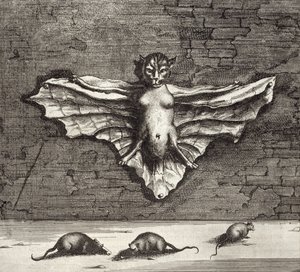Une chauve-souris connue sous le nom de chat volant, de China Illustrated par Athanasius Kircher (1601-80) 1667 - Dutch School