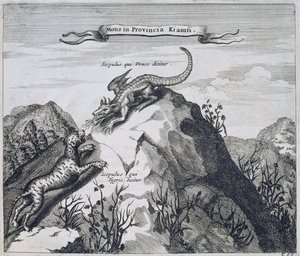 Une montagne dans la province de Jiangxi avec des falaises connues sous le nom de Dragon et Tigre, de la Chine illustrée par Athanasius Kircher, 1667 - Dutch School