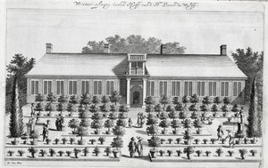 Jardin hollandais, de De Nederlandze Hesperides par Jan Commelin, publié en 1676