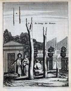 Tilleuls et orangers, de De Nederlandze Hesperides par Jan Commelin, publié en 1676 - Dutch School