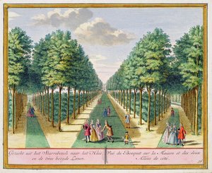 Vue du bois vers la maison et les deux avenues latérales, Watervliet, de Het Zegenpralent Kennemerlant, par Hendrick de Leth et Matthias Brouerius Van Nidek, publié c.1700-1730 - Dutch School