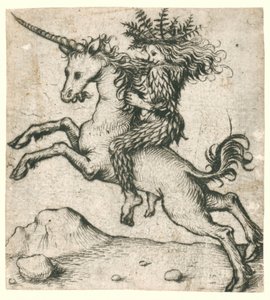 Homme sauvage sur une licorne