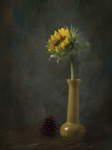 - EDUARDO LLERANDI