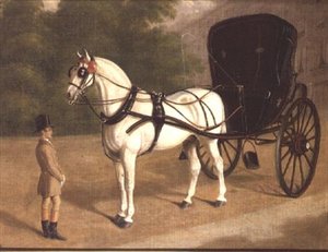 Un cheval gris et un cabriolet avec groom