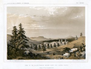 La Forêt-Noire Mount Hope et Sierra Prieta, USA, 1856
