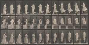 Locomotion animale. Une enquête électro-photographique... des mouvements des animaux. Commence..., années 1880