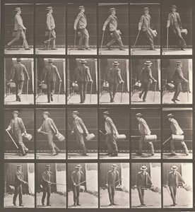 Locomotion animale. Une enquête électro-photographique sur les mouvements des animaux