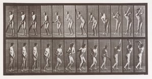 Locomotion animale. Une enquête électro-photographique sur les phases consécutives du mouvement animal - Eadweard Muybridge