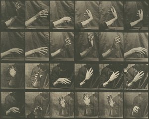 Locomotion Animale, Planche 535, 1887