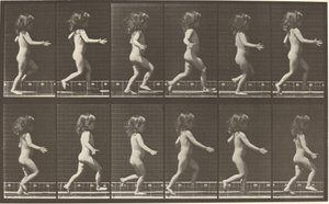Planche Numéro 469. Enfant courant, 1887 - Eadweard Muybridge