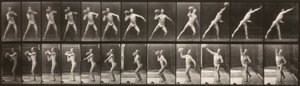 Locomotion animale (planche 319) (Homme lançant une balle) - Eadweard Muybridge