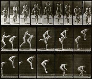  - Eadweard Muybridge