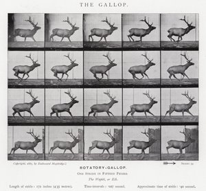 Eadweard Muybridge : Le Galop (photo n/b)