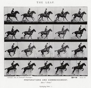 Eadweard Muybridge : Le Saut