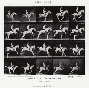 Eadweard Muybridge : Le Saut (photo n/b) - Eadweard Muybridge