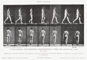 Eadweard Muybridge : La Marche (photo n/b)