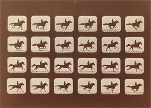 Chevaux. Courir. Phyrne L. No. 40