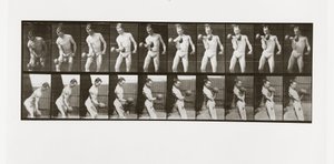 Homme levant un haltère, Planche 324 de Animal Locomotion, 1887 - Eadweard Muybridge