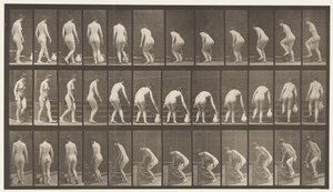 Planche 108. Tourner pour monter des escaliers, se pencher, soulever un pichet, 1872-1885 - Eadweard Muybridge