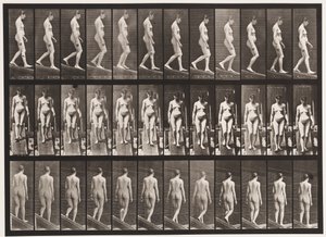 Planche 117. Descendre une pente - Eadweard Muybridge