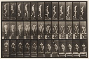 Planche 125. Descendre les escaliers - Eadweard Muybridge