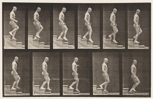 Planche 126. Descente d
