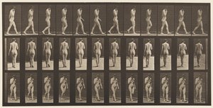 Planche 14. Marche, main droite au menton, 1872-1885