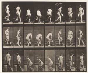 Planche 150. Descente des escaliers; Se pencher, soulever une cruche, tourner - Eadweard Muybridge