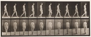Planche 15. Marcher