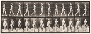 Planche 17. Marcher, 1872-1885 - Eadweard Muybridge