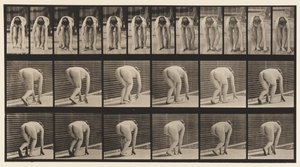 Planche 184. Marcher sur les mains et les pieds