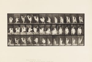 Planche 193. Danse (fantaisie)