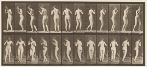 Planche 195. Danser la valse