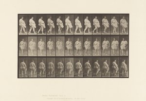 Planche 19. Marche, Commence à Se Retourner - Eadweard Muybridge