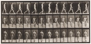 Planche 1. Marche - Eadweard Muybridge