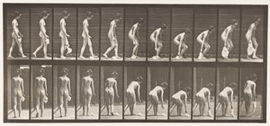 Planche 202. Laisser tomber et ramasser un mouchoir