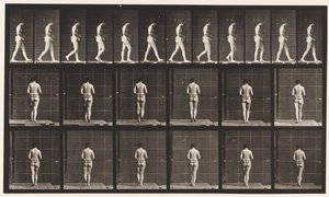 Planche 21. Marche, les deux coudes pliés