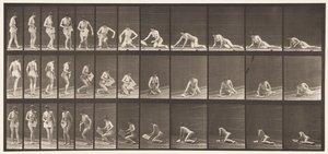 Planche 256. Allongé sur le sol et lisant, 1872-1885
