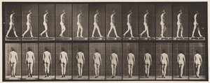 Plaque 25. Marcher avec des chaussures à talons hauts