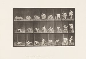 Planche 268. Se lever du sol - Eadweard Muybridge