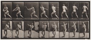 Planche 278. Base-ball; Frapper - Eadweard Muybridge
