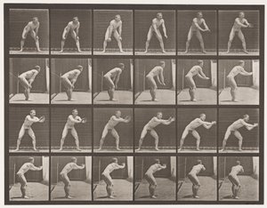 Base-ball; Attraper, 1885 - Eadweard Muybridge