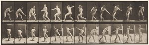 Base-ball; Attraper et Lancer, 1885 - Eadweard Muybridge