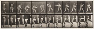 Planche 285. Base-ball; Attraper et lancer - Eadweard Muybridge