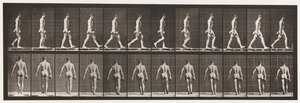 Marche, portant un haltère de 50 lb dans la main droite, 1872-1885 - Eadweard Muybridge