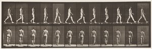 Planche 2. Marche