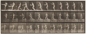 Planche 301. Football; Punt, 1885 - Eadweard Muybridge