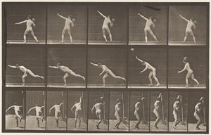 Planche 313. Soulever une pierre de 20 lb, 1885