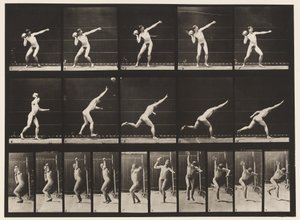 Planche 314. Lancer une pierre de 20 livres