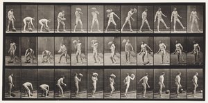 Plaque 317. Soulever une pierre de 70 lb - Eadweard Muybridge